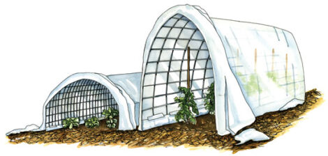 Season Extension: Gardening in Fall and Winter Image